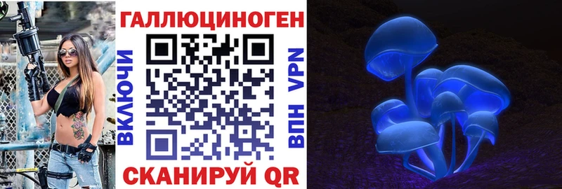 Псилоцибиновые грибы Psilocybe Лесосибирск