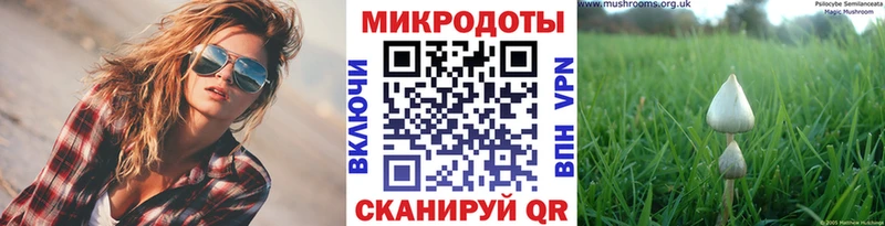 Псилоцибиновые грибы Magic Shrooms  наркотики  kraken онион  Лесосибирск 