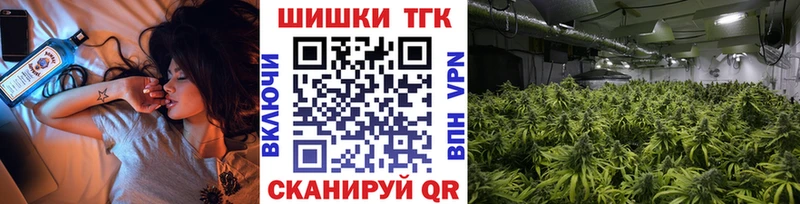 Бошки марихуана THC 21%  Лесосибирск 